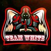 Logo of telegram channel teamwhite10 — TEAM WHITE