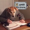 Логотип телеграм канала @tearscanheal — слёзы читателей