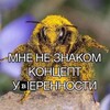 Логотип телеграм канала @teashizass — Чайные разговоры 🍵