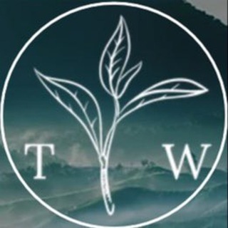 Логотип телеграм канала @teawall — TEAWALL