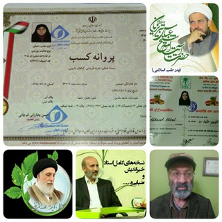 لوگوی کانال تلگرام teb_sonatizakarya — کانال طب سنتی زکریا مشهدالرضا