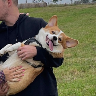 Логотип телеграм канала @tebelen — Тебе лень, а я нашла