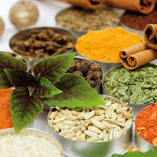 لوگوی کانال تلگرام tebesonnati95 — #دوستی باطبیعت#