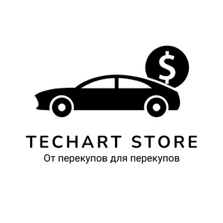 Логотип телеграм канала @techart_store — TECHART STORE