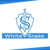 Логотип телеграм канала @technicalcryptonfts — WhiteSnake Signals