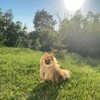 Логотип телеграм канала @teddy340 — Вика и Тедди