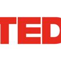 Logo saluran telegram teden — TED EN