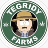 Logo of telegram channel tegridy_italy — Tegridy Farms Italy edition