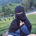 Logo saluran telegram tehbotolhot — ASUPAN TEH BOTOL