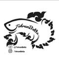 Logo saluran telegram tehranbetta — TehranBetta