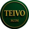 Логотип телеграм канала @teivo1 — Методика TEIVO МЛМ