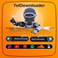 لوگوی کانال تلگرام teldownloader — تل دانلودر