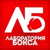 Telegram channel Лаборатория бокса 2 🇷🇺 logo