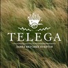 Логотип телеграм канала @telegalavkabuket — TELEGA цветы Коммунарка