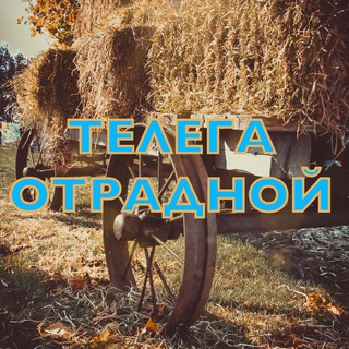 Логотип телеграм канала @telegaotradnaya — ТЕЛЕГА ОТРАДНОЙ