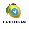 Логотип телеграм канала @telegrm_million — 🍋 Миллион на Telegram 💰