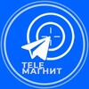 Логотип телеграм канала @telemagnit_igorjadanov — Продвижение в Телеграм