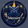 Логотип телеграм канала @teleosint — Teleosint