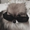 Логотип телеграм канала @telezhkawb — telezhka