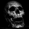 Логотип телеграм канала @temere_quotes — Temere quotes