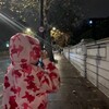 Логотип телеграм канала @temesmorph — темы от морф