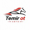 Telegram kanalining logotibi temir_ot — Temir ot