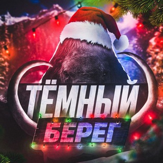 Логотип телеграм канала @temniy_bereg1 — Тёмный Берег
