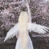 Логотип телеграм канала @temochkii_tg — ᴛᴇʍᴋи ᴀндᴩᴏид/ᴀйɸᴏн🪽