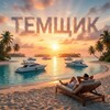 Логотип телеграм канала @temshik_rf1 — 💲ТЕМЩИК💲
