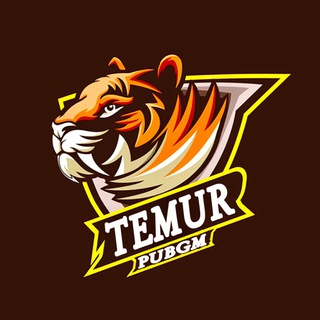 Telegram kanalining logotibi temur_pubgm — TEMUR PUBGM (YouTube KaNal )