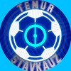 Логотип телеграм канала @temur_stavkauz — TEMUR | STAVKAUZ