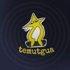 Логотип телеграм -каналу temutgua — Дверна ручка