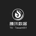 Logo saluran telegram tencentdata — 【腾讯数据】全行业精准源头数据三网DPI运营商精准三网SDK短信劫持-实时数据指定抓取