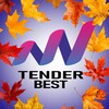 Логотип телеграм канала @tenderbest_online — TenderBest - финансовые продукты бизнесу