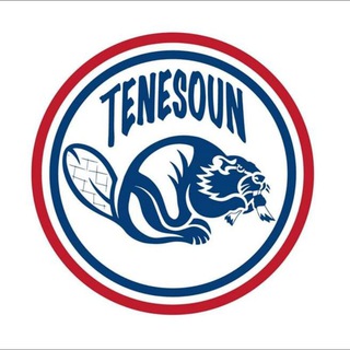 Logo de la chaîne télégraphique tenesoun - Tenesoun