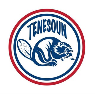 Telegram channel Tenesoun logo