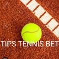 Logotipo del canal de telegramas tennisbetprofessionals - 🎾 TENNIS BETS PROFESSIONAL 🎾