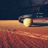 Telegram channel Tennis Football Trader logo