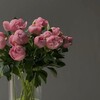 Логотип телеграм канала @teplo_sss — Уютно и красиво 🤍