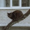 Логотип телеграм канала @teploq — тепло.