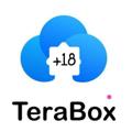 Logo saluran telegram terbox_group — TERABOX CHANNELS | TIBIBOX GROUP | MEMORY BOX GROUP LINK | MEMORYBOX ADULT XXX VIDEOS | MOMERYBOX
