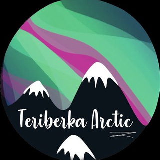 Логотип телеграм канала @teriberka_arctic — Туры Териберка | сияние | киты Teriberka Arctic
