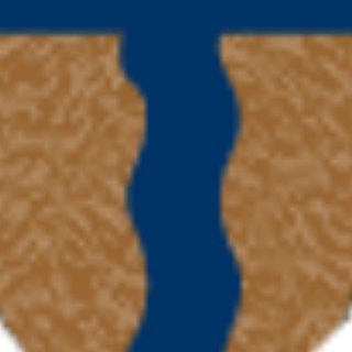 Логотип телеграм канала @terijoki — terijoki