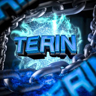 Логотип телеграм канала @terin_yt — Terin