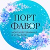 Логотип телеграм канала @terminal_port_favor — Порт Фавор