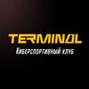 Логотип телеграм канала @terminalkam — TERMINAL