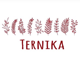Логотип телеграм канала @ternikacraft — TERNIKA