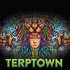 Logo of telegram channel terptown5 — Terptown ⛽