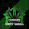 Logo of telegram channel terpygreen — TER🅿️Y GREEN⛽🌬🌱
