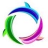 Логотип телеграм канала @terrainnov — Академия Территория инноваций